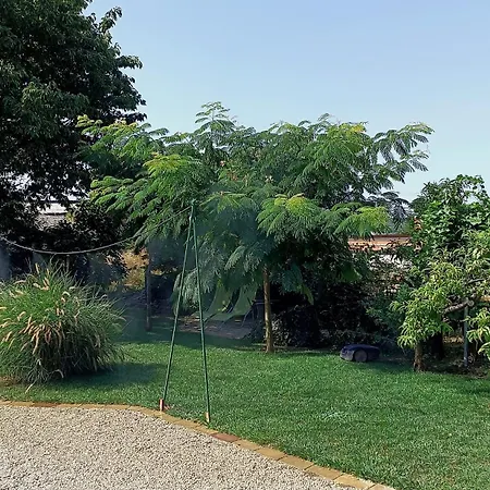 T.h.ny Village Тихань