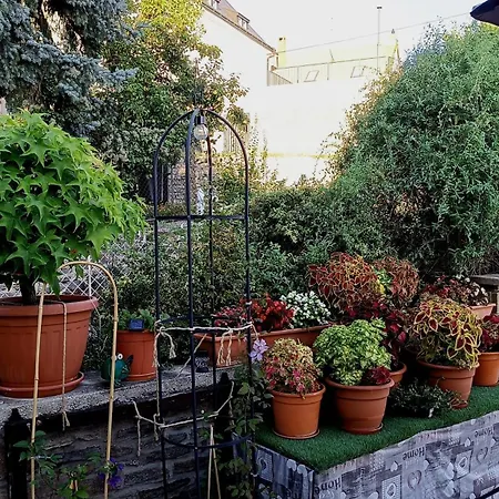 T.h.ny Village 3* Тихань