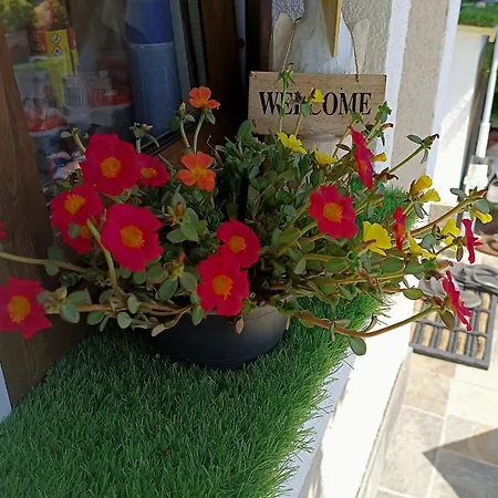 Vendégház T.h.ny Village