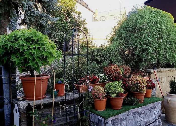 T.h.ny Village 3* Тихань