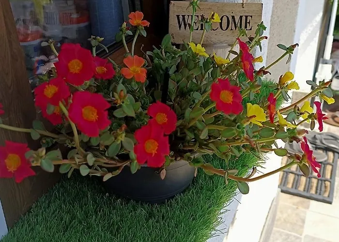 Гостевой дом T.h.ny Village